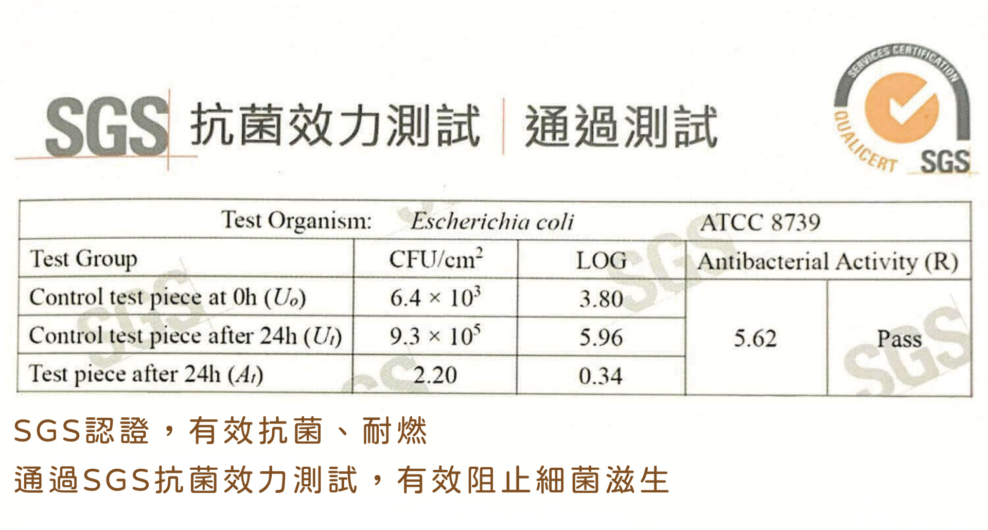 證書一