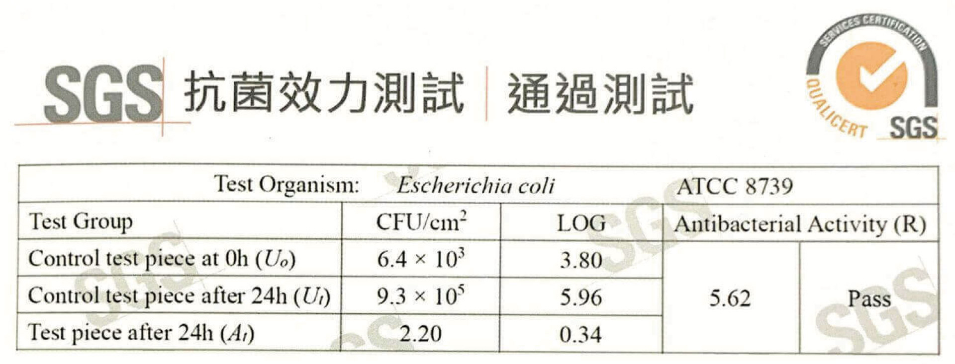 證書一