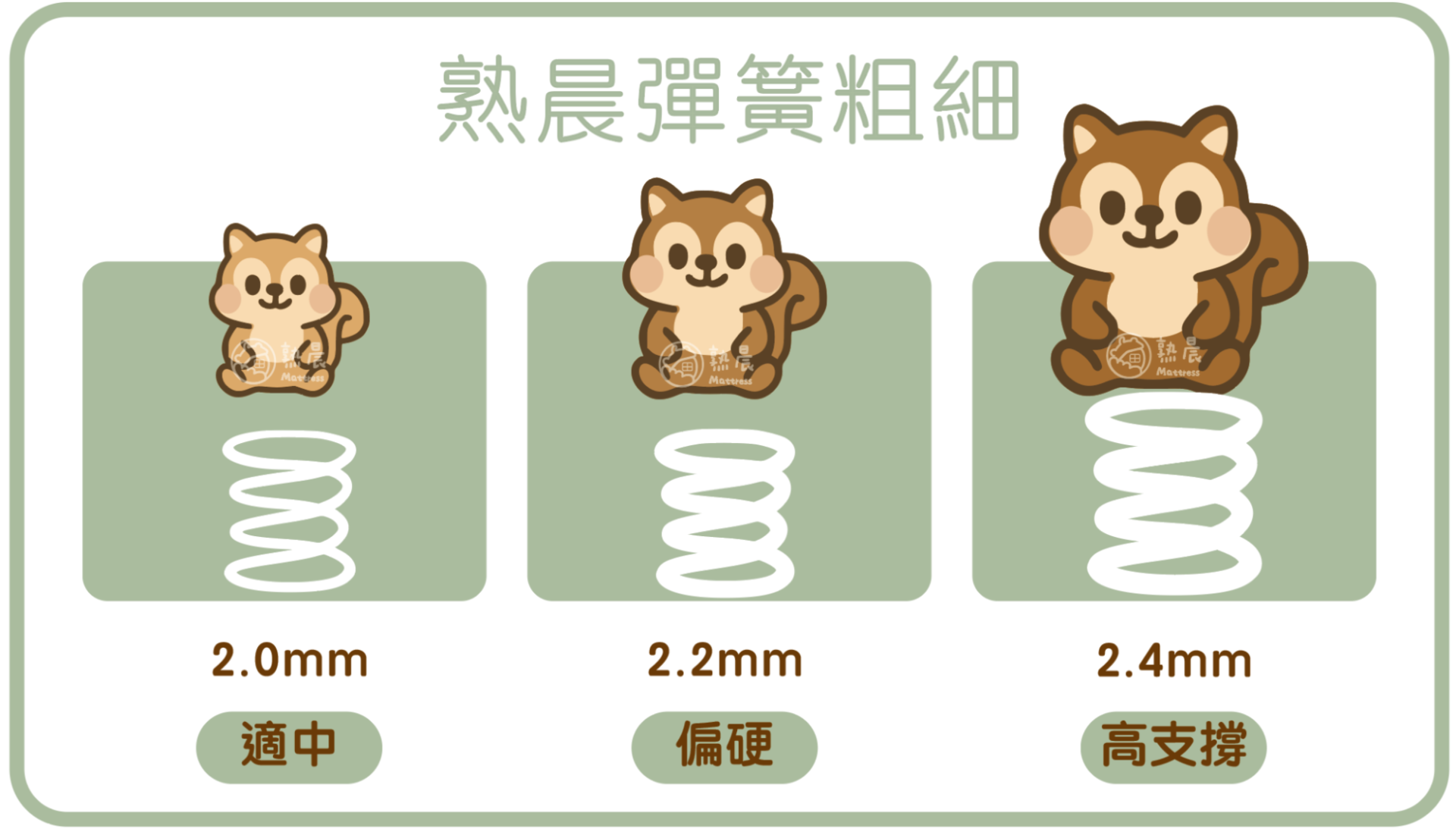 熟晨彈簧粗細